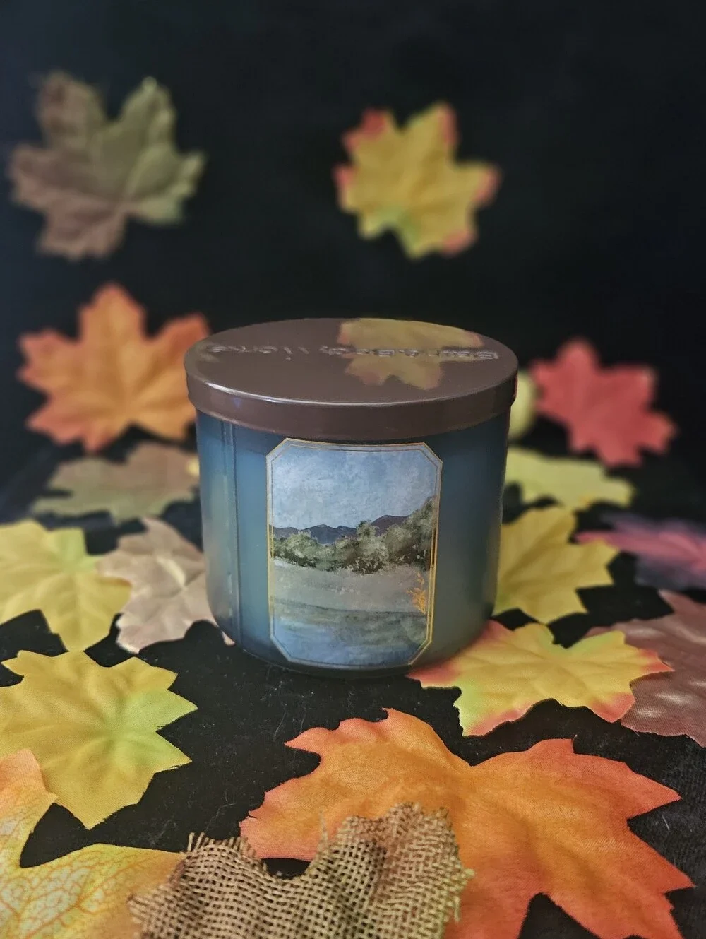 NWT Bath & Body Works Mountain Teakwood 3-wick Candle - Blue & Brown